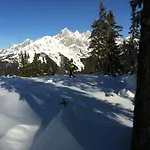 Zur Lieben Sonne فيلزموس