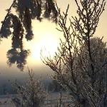 Zur Lieben Sonne *