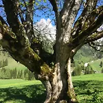 Zur Lieben Sonne