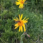 شقة Zur Lieben Sonne فيلزموس