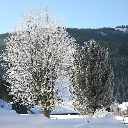 Zur Lieben Sonne Appartement *