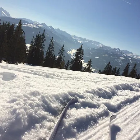 Zur Lieben Sonne