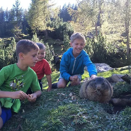 Zur Lieben Sonne Filzmoos