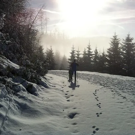 Appartement Zur Lieben Sonne