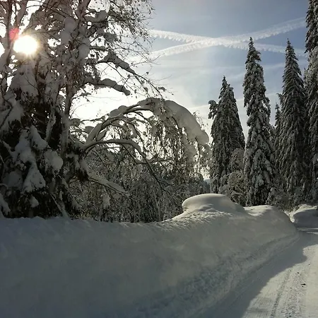 Appartement Zur Lieben Sonne *
