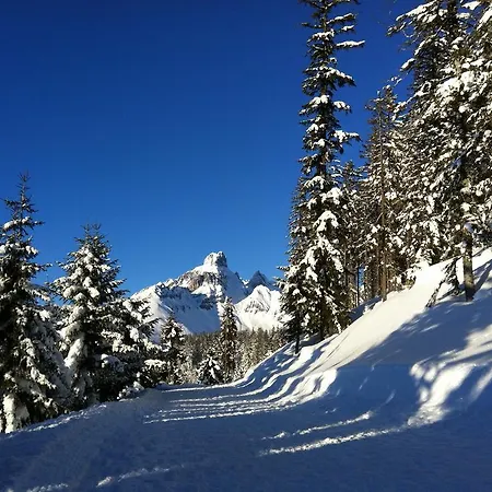 Zur Lieben Sonne * Filzmoos
