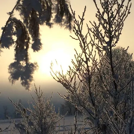 Zur Lieben Sonne *
