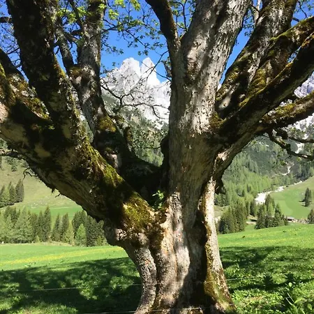 Zur Lieben Sonne
