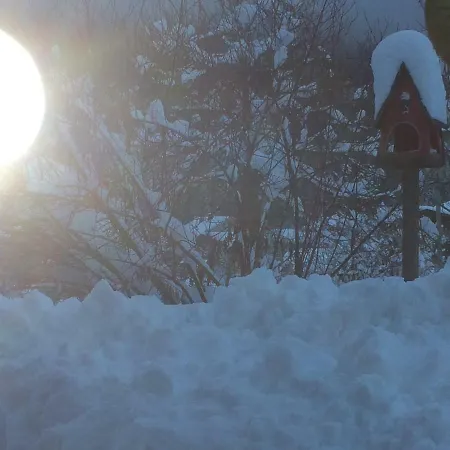 Zur Lieben Sonne Apartamento Filzmoos