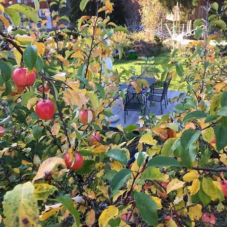 Zur Lieben Sonne Apartamento Filzmoos